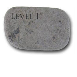 Prostate Stone Level I